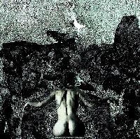 Rainroom - Monochrome of Feathers